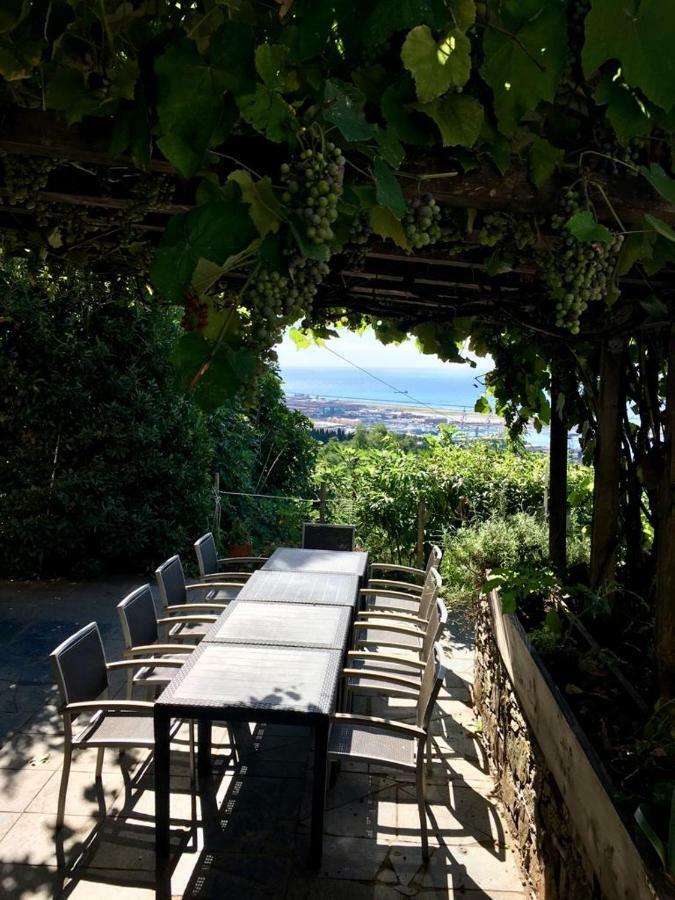 Vila Agriturismo Fattoria Montecontessa Janov Exteriér fotografie